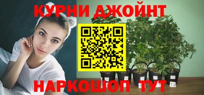 эйфоретик Берёзовский