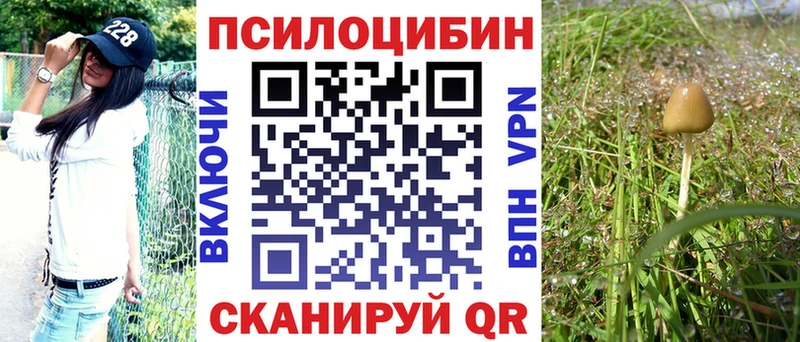 продажа наркотиков  Борисоглебск  Галлюциногенные грибы MAGIC MUSHROOMS 