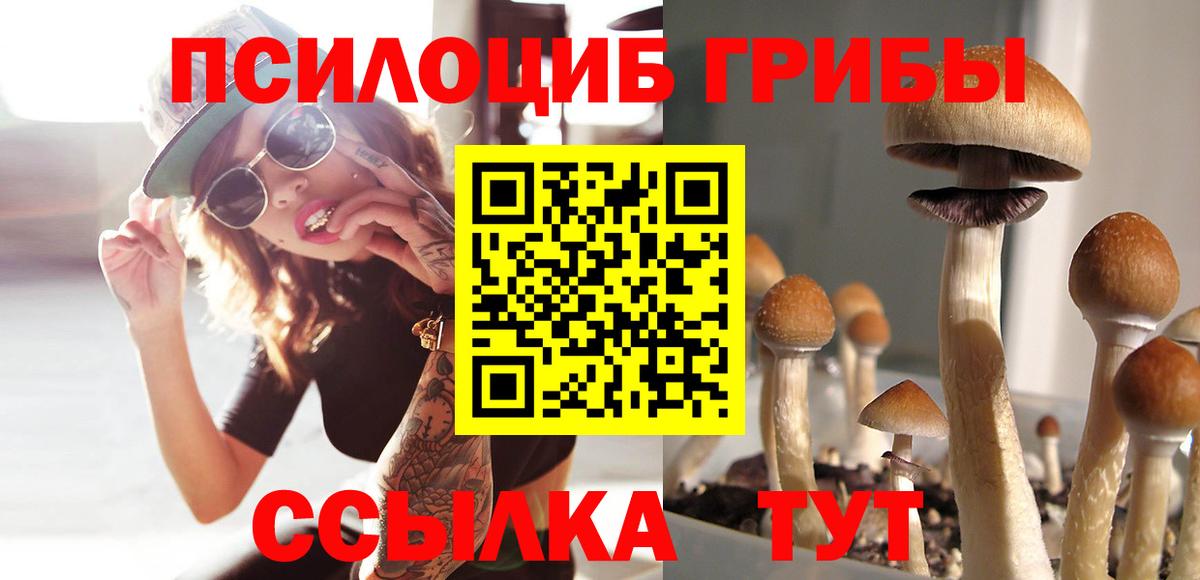 Псилоцибиновые грибы Magic Shrooms Борисоглебск